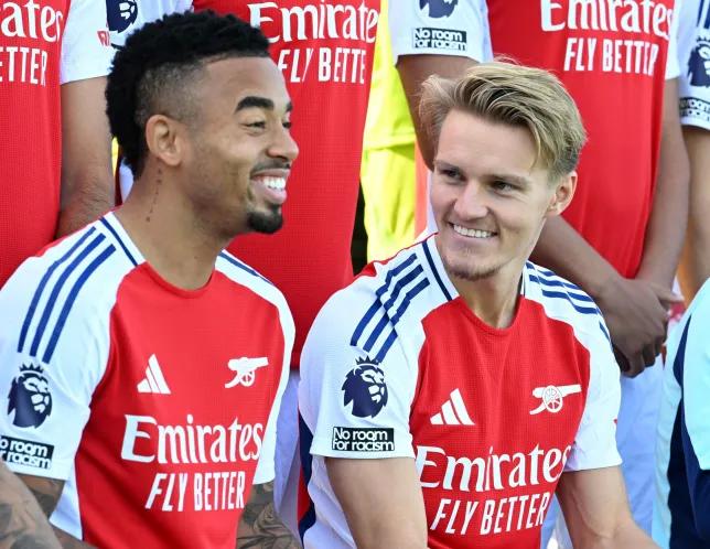 Arsenal fans concerned about Martin Odegaard's injury after noticing detail in team photo