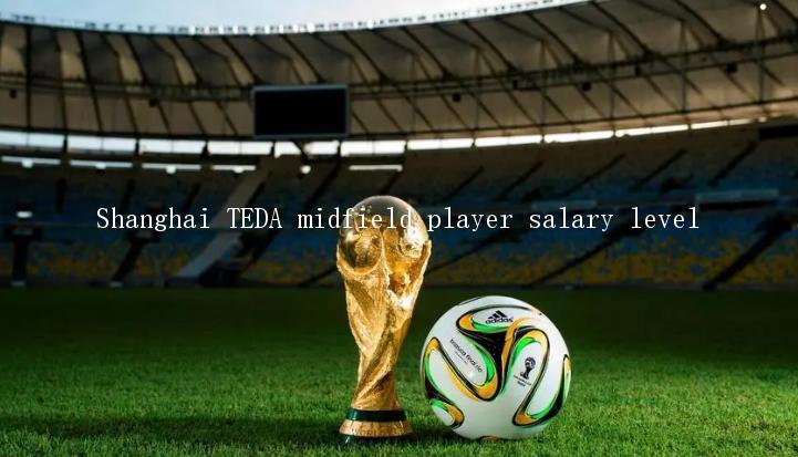 Shanghai TEDA midfield player salary level