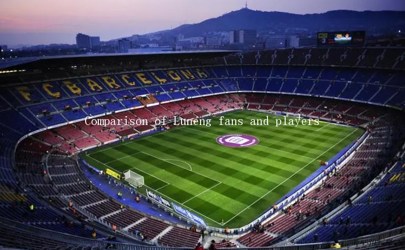 Comparison of Luneng fans and players